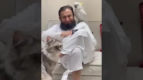 maulana tariq jameel with parrot enjoy funny video #tariqjameel