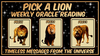 Pick A Pile l Weekly Oracle Reading l Messages From The Universe l Timeless Reading 🦁🦁🦁