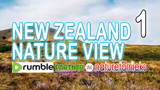 New Zealand Nature View Part-1