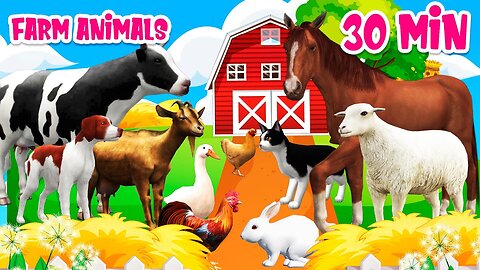 Farm Animal Sounds | Cow, Sheep, Cat, Dog, Chicken | Animal Moments