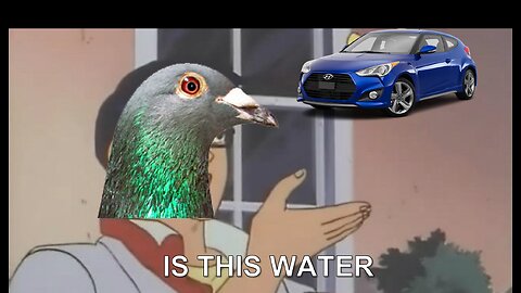Why do Birds Poop on Cars?