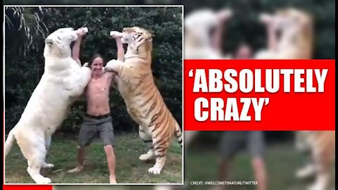 Men with two tigers