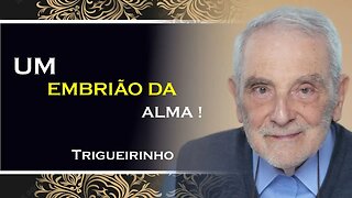 UM EMBRIÃO DE ALMA, TRIGUEIRINHO