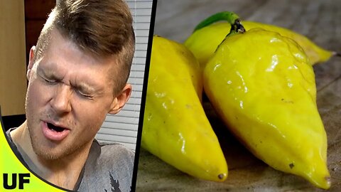 Super HOT!! Lemon Drop Pepper Taste Test | Unusual Foods