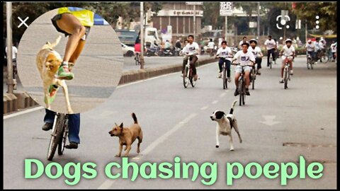 Dogs Chasing People