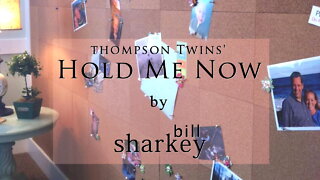 Hold Me Now - Thompson Twins (cover-live by Bill Sharkey)