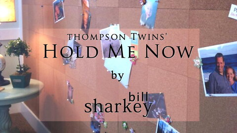 Hold Me Now - Thompson Twins (cover-live by Bill Sharkey)