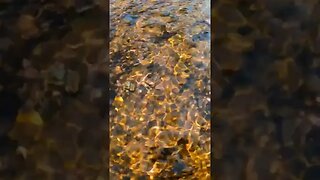 Fisheye Water Wandering Remix 2