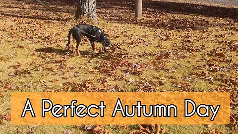 A Perfect Autumn Day