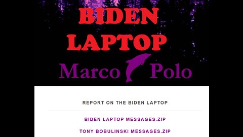 REPORT ON THE BIDEN LAPTOP Ivermectin Worked This Entire Time.