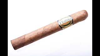 Cult Profile Toro Cigar Review