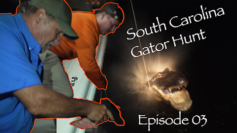 South Carolina Gator Hunt! Episode 03