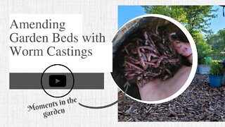 Amending Garden Beds with Worm Castings | moments in the garden