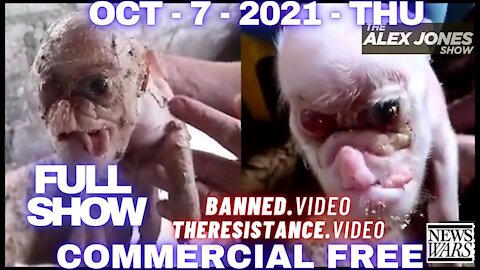 Breaking: First Video of Animal/Human Hybrid Released?