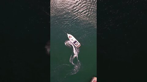 Yacht Party In Toronto, Canada