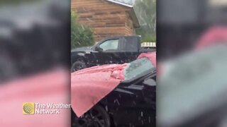 Car owner attempts to protect car from onslaught of hail