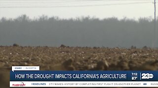 Keith Gardiner discusses drought impacts on agriculture industry