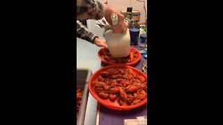 Boiled Crawfish 5th night in a row