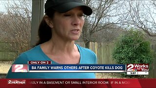 COYOTE KILLS DOG IN BA