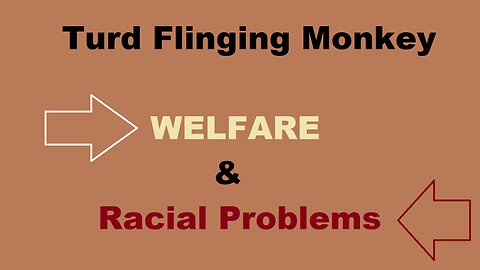 Turd Flinging Monkey discusses WELFARE and RACIAL PROBLEMS