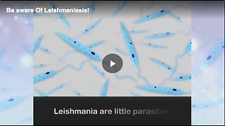 Learn more about leishmaniasis.