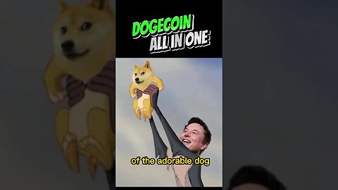 Dogecoin all in one #memes #meme