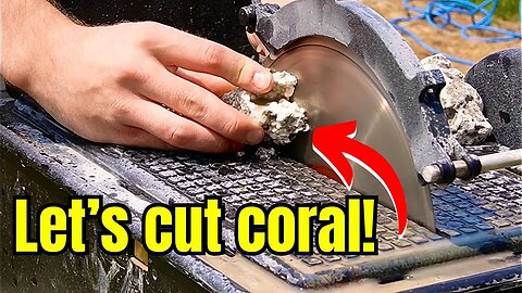 Cutting Agatized Coral open w/ 10" SAW!