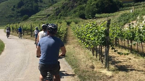 Biking through Vienna's wine country