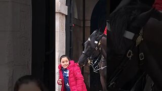 the horse grabs her by the coat #horseguardsparade