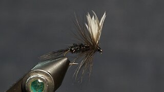 Adult Mayfly - Quill Wing (Fling & Puterbaugh 8/30)