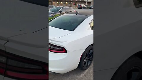 Dodge Charger R/T Almost Hits My Hellcat