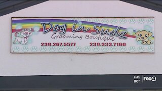 Help Wanted Wednesday: Dog in Sudz Grooming Boutique