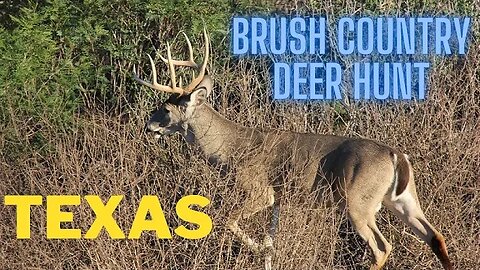 Texas Brush Country Deer Hunt | Part 1