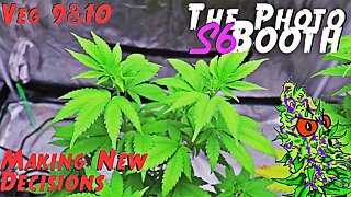 The Photo Booth S6 Ep. 6 | Veg 9 & 10 | Making New Decisions