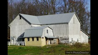 Amish Barns