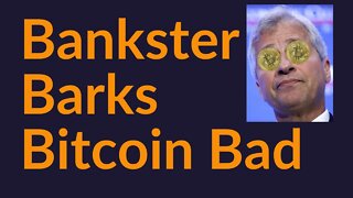 Bankster Barks Bitcoin Bad