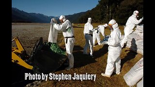 Poisoning Paradise - Ecocide New Zealand