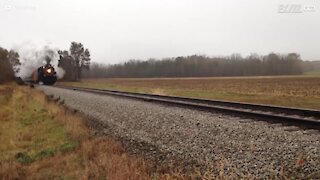 Un cerf défie la mort à quelques secondes du passage d'un train