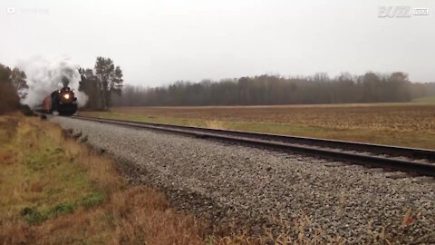 Un cerf défie la mort à quelques secondes du passage d'un train