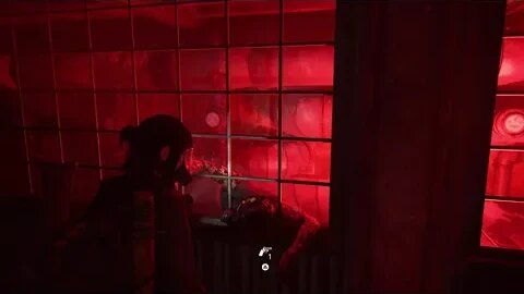 The Last of Us Part II Use the Rope to Reach the Other Side