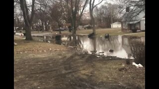 Detroit homeowners on the city's east side dealing with reoccurring flooding problems