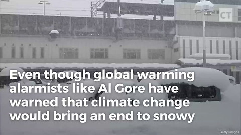 How Alligators Survive Al Gore's Global Warming