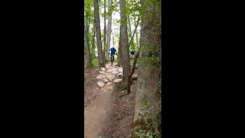 Stoney Creek Metropark - New Rollercoaster