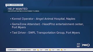 Angel Animal Hospital, Headpinz Entertainment Center, and Southwest Florida Transportation Group are hiring