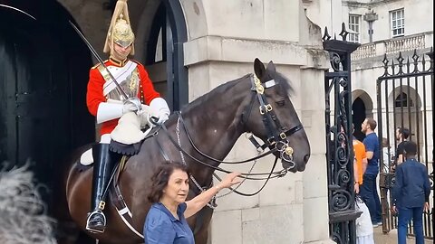 The tourist tell her not to touch the reins #horseguardsparade