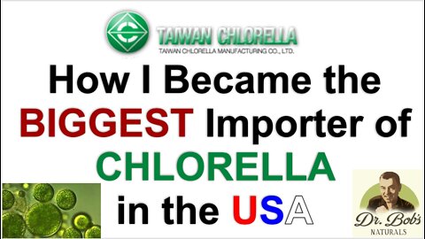 How I Became the Largest Chlorella Importer in the USA