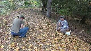 Harvesting Wild Edible Acorns With Wilderness Rocks From YouTube O5