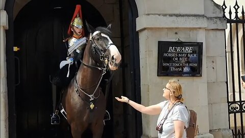 Tourists tries to give horse chocolates. guard tells her no skakes head on disbelief #thekingsguard