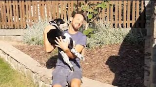 COVID-19: cet homme retrouve son chien après 3 mois