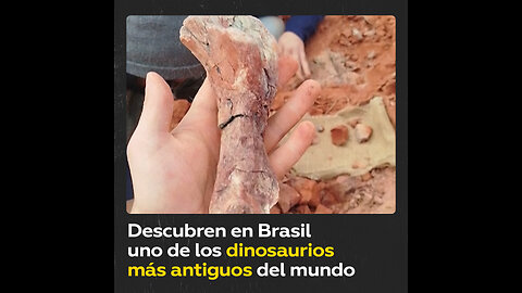 Descubren en Brasil uno de los dinosaurios más antiguos del mundo tras fuertes lluvias